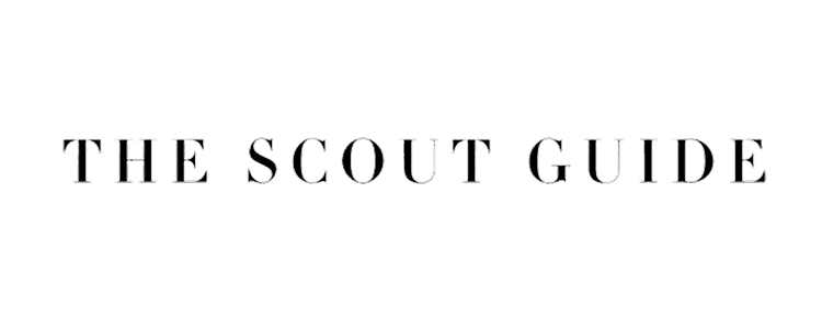 The Scout Guide